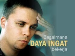 Bagaimana Daya Ingat Bekerja